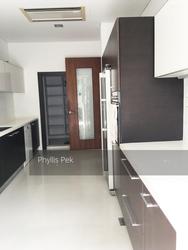 Shamrock Park (D10), Terrace #153498912